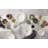 Entertain 365 24 Seven White Mugs