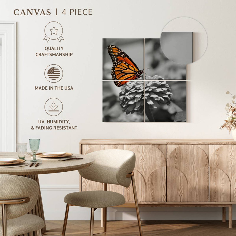 Papillon Brampt