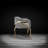 Iseminger 19'' H Velvet Upholstered Armchair-376474314-376474315