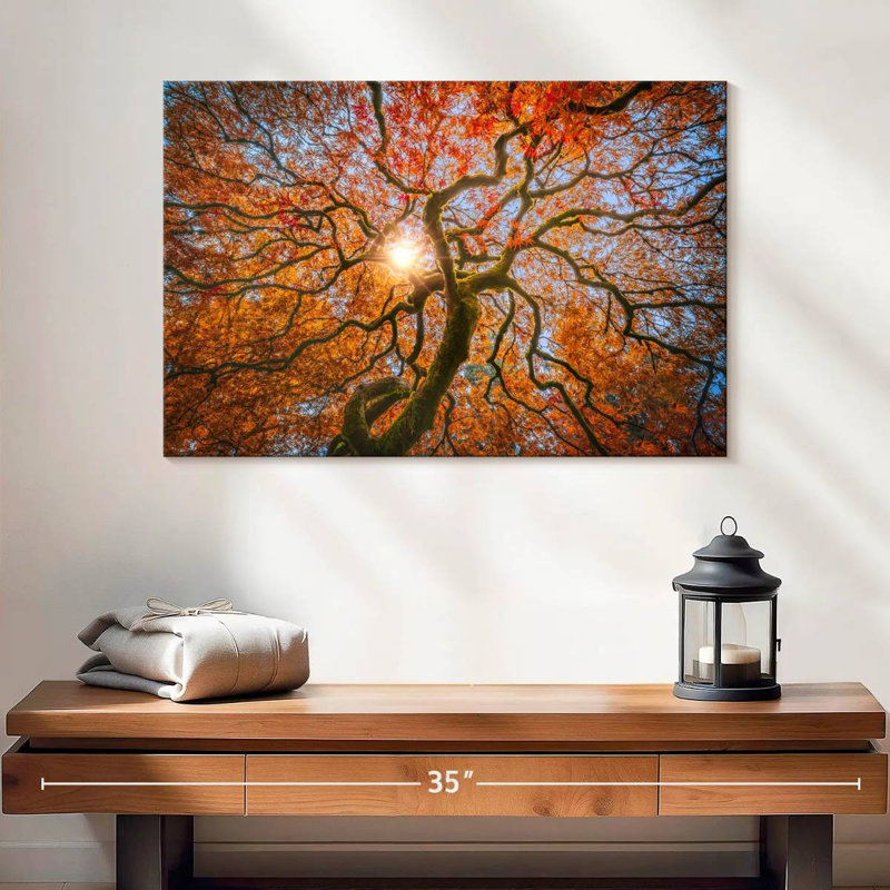 Harnek Japanese Maple Tree, 16" H x 24" W