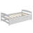 Platform Bed With Trundle-2133193035