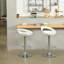 Vinnie Swivel Adjustable Height Counter Stool with Metal Frame-1444428687