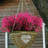 Arrangement-662289759