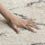 Aderhold Hand-Tufted Wool/Cotton Rug in Beige-812091070