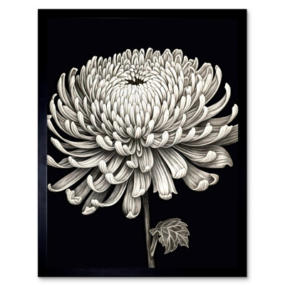 Gerhardina Detailed Illustration Chrysanthemum Bloom Flower 1 Piece Single Picture Frame Wall Art
