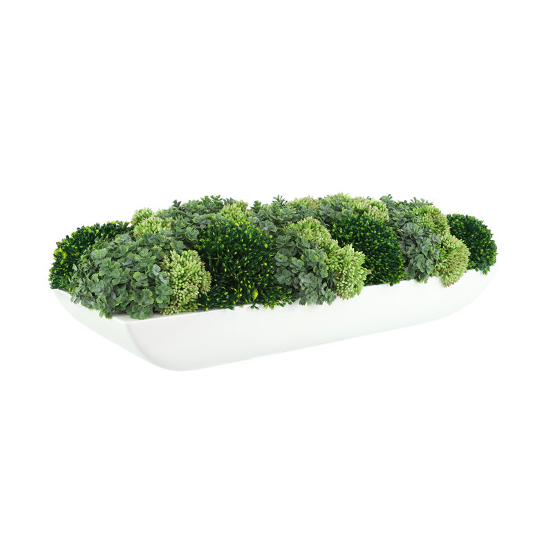Jerez Faux Succulent in Fiberstone Planter, White