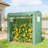 Stable Greenhouse,Mini Greenhouse-124615628
