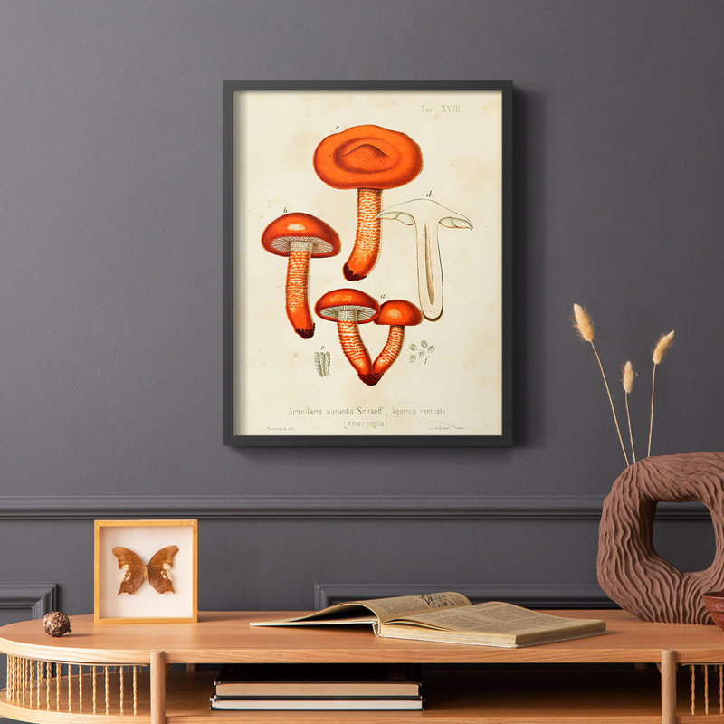 Champignon Variétés IV, reproduction encadrée - bois massif, H 28 po x l 22 po, Noir