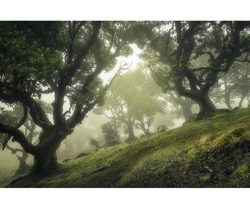Wrapped Canvas Print, 81.28 cm H x 121.92 cm W