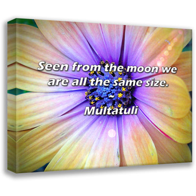 Citation de Multatuli: vu de la lune, nous sommes tous de la même taille.