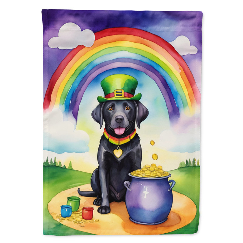 Drapeau double face en polyester H 40 po x l 28 po St Patrick's Day House