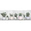 Impression encadrée « indoor succulents »-50107197