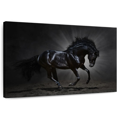 Brampt Elegant Black Horse
