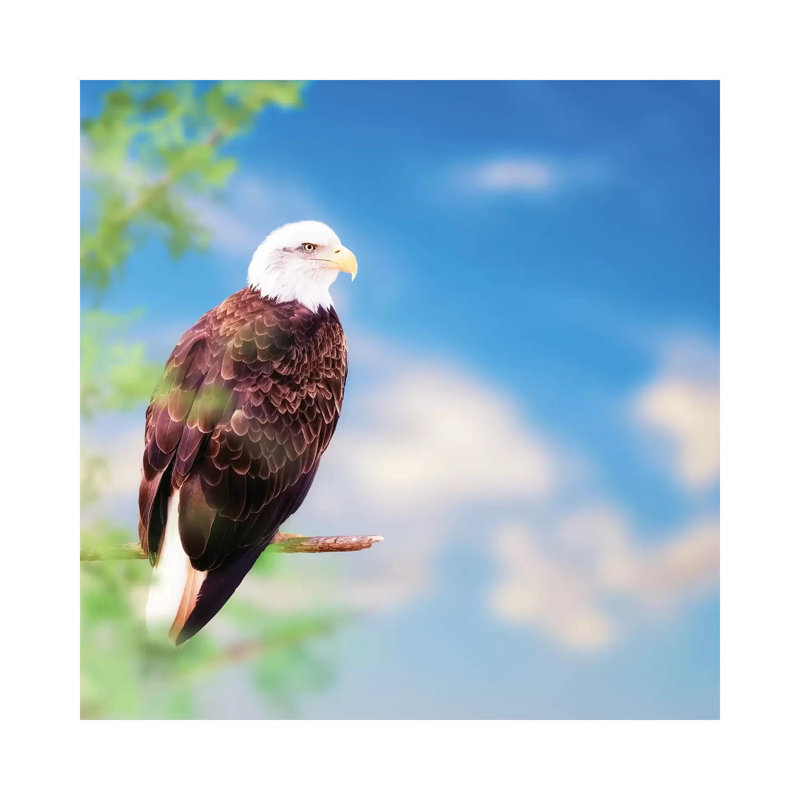 American Bald Eagle Perched On Tree by Susan Richey - Gallery-Wrapped Canvas Giclée on Canvas, 30.48 cm H x 30.48 cm W