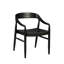 Solid Wood Arm Chair