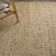Indoor Rug