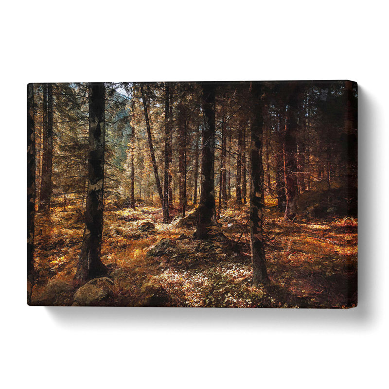 Within the Woods - Wrapped Canvas, 40.6 cm H x 61 cm W