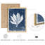 Ensemble 4 pièces d'art mural botanique d'algues côtières - impressions encadrées bleu indigo pour décoration de maison de plage ou de salle de bain-112375308-112375304