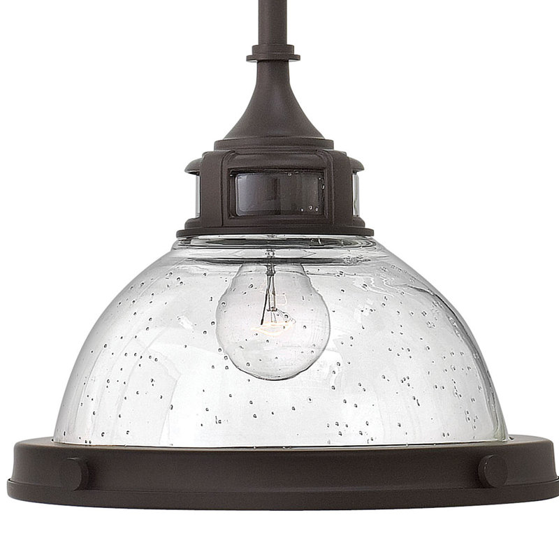 Luminaire suspendu en forme de dôme à 1 lumière Amelia, Bronze Buckeye