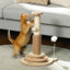 49 cm H Cat Scratchers