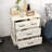 Loughlin 23.6'' W Nightstand