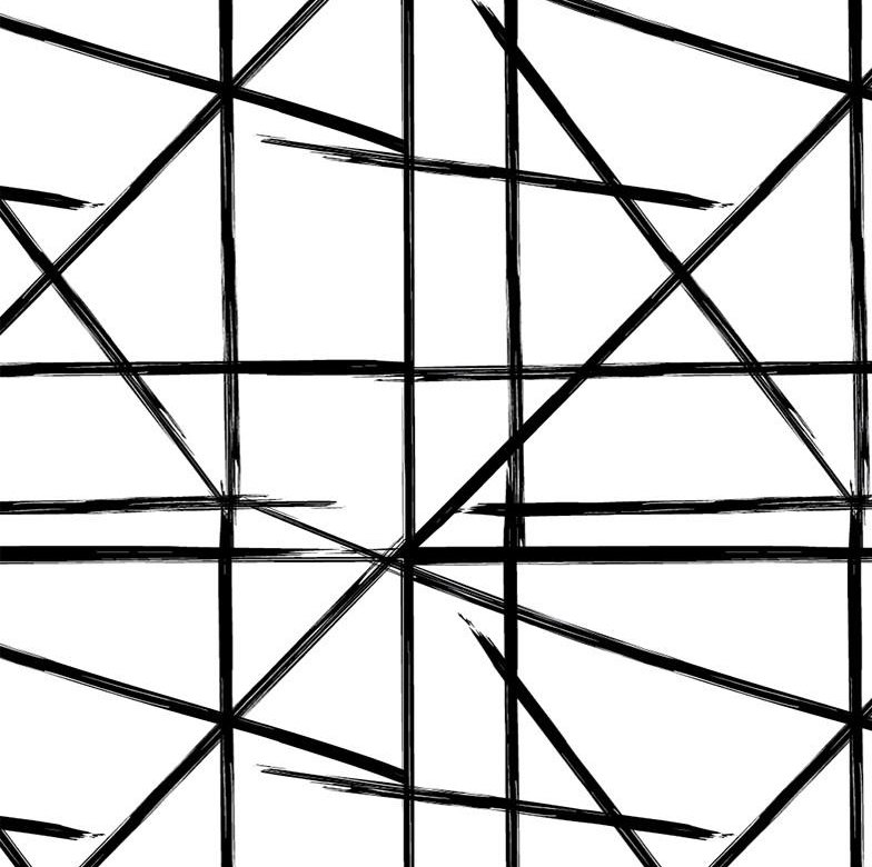 Square And Lines Geometric Vinyl Wallpaper Roll by Jamie Graney, White/Black