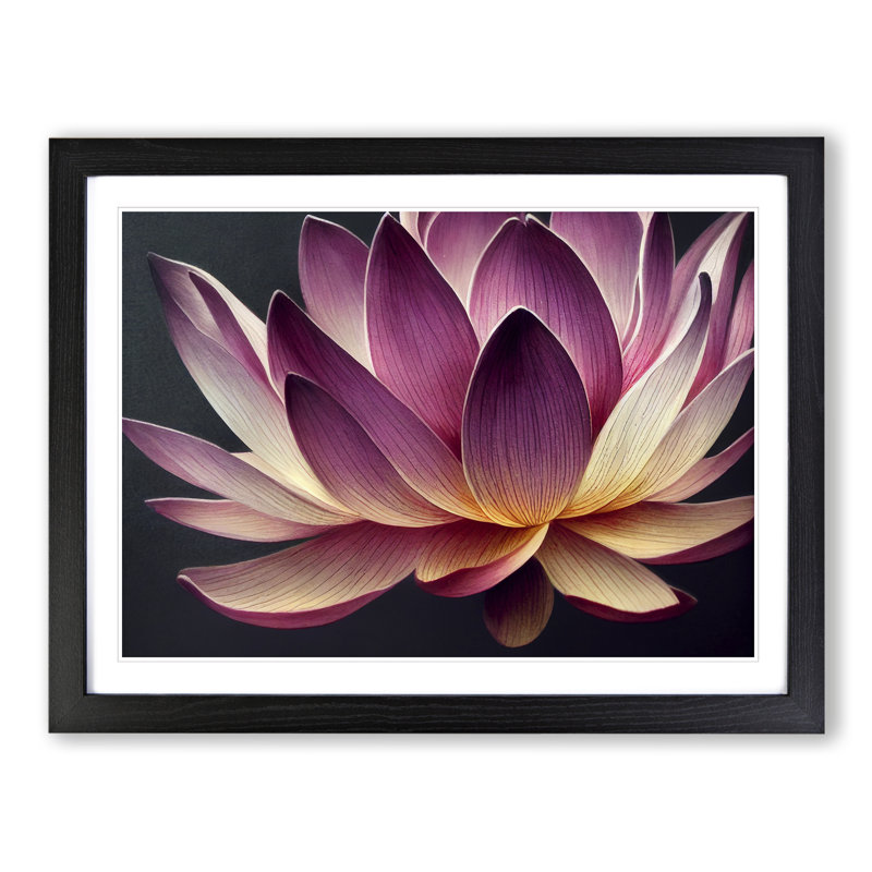 Heavenly Lotus Flower - Single Picture Frame Print, 46cm H x 64cm W x 2cm D, Black