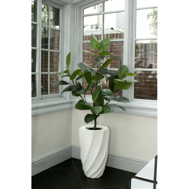 73'' Faux Rubber Plant Plant in Fiberstone Planter