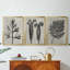 Blossfeldt Botanical I - Toile tendue avec châssis sur mesure - 3 pièces-1213451949-1213451948