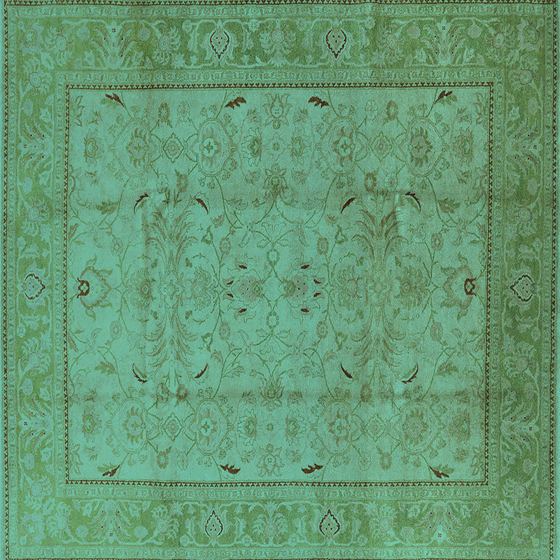 Chrisotpher Performance Oriental Indoor Rug, Square 6'