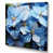 Toile tendue