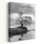 Coastal Oak Series No. 1 - Paysages, photographie, arbres, cours d'eau, art