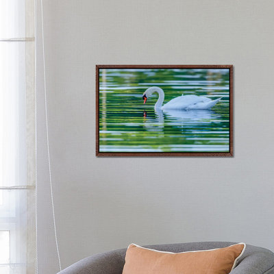 Morning Reflection by David Gardiner - Print on Canvas