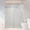 Portes de douche coulissantes en verre l 64 po x H 80 po