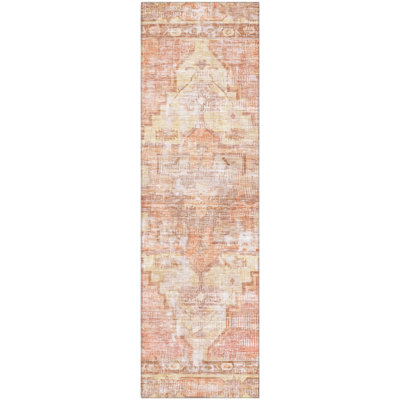 Premium Machine Washable Lucchesi AMF1729 Global Rug