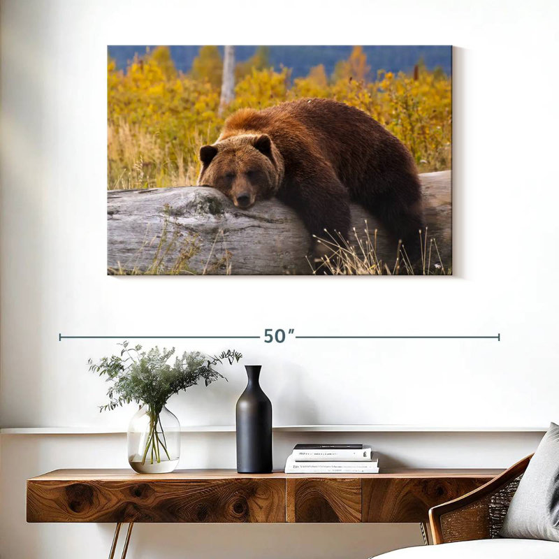Brampt Resting Grizzly Bear, 26" H x 39" W