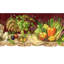 Bordure de papier peint de cuisine Glora Country Farm Fresh Coq Farmhouse L 15 pi x l 9 po