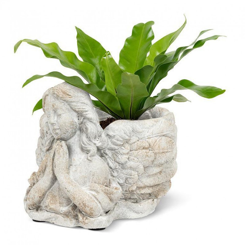 Angel With Hands In Prayer Planter
