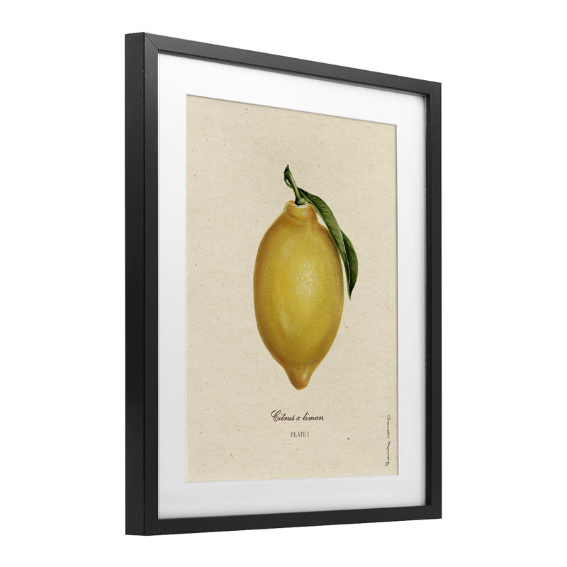 «Lemon Fruit Portrait», reproduction encadrée sous verre, conception de Danielle Murray, H 21 po x l 17 po, Cadre noir minuit