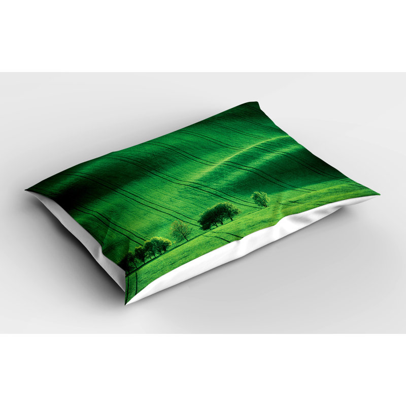 Ensemble de 2 taies décoratives vertes Ambesonne Ambesonne Meadow Fields Hills Emerald, H 20 po x l 36 po