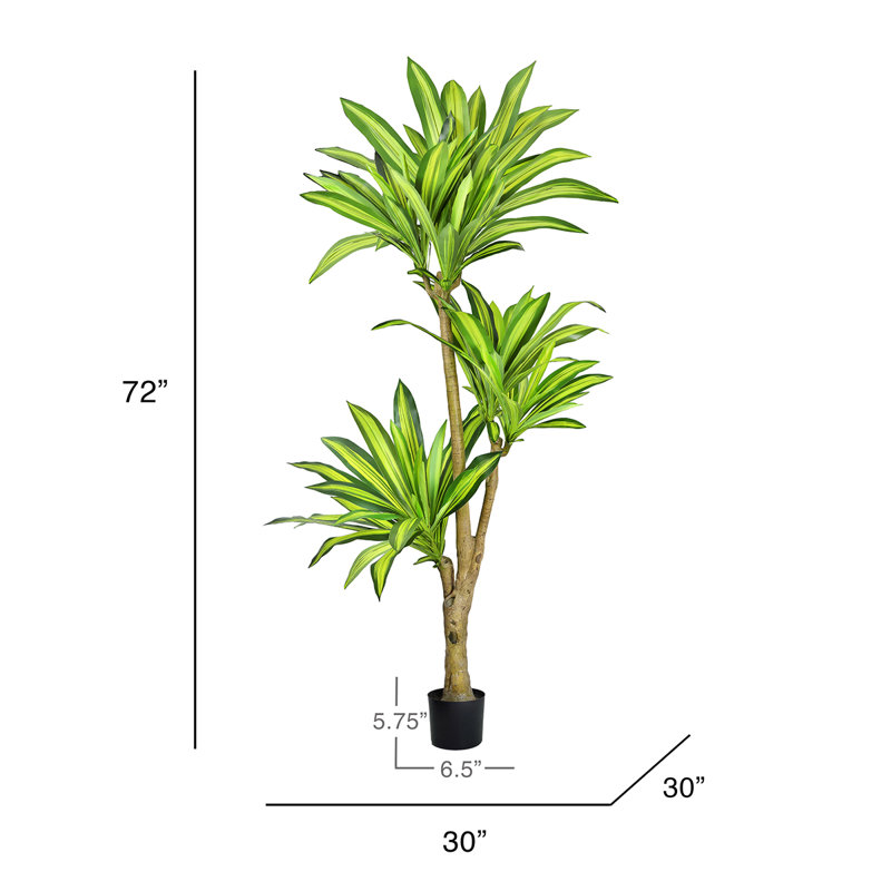 Arbre Dracaena artificiel 72 po en pot