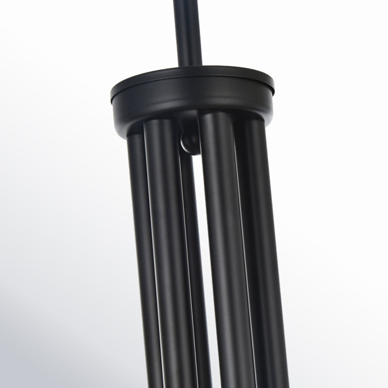 Catalena 6-Light Chandelier, Noir, H 28 po x l 55 po x P 55 po