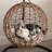 Geometric Cotton Pet Bed-66671241