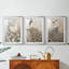 ANIMALS Series CCLV - Impression encadrée sur mesure de qualité supérieure - 3 pièces-874209293