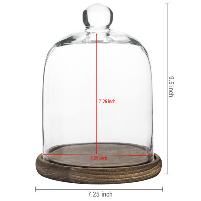 Khyanna Cloche Or Water Globe
