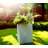 Planter-233710366-169871259