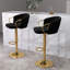 Ginko Height Adjustable Bar Stool-1471318271