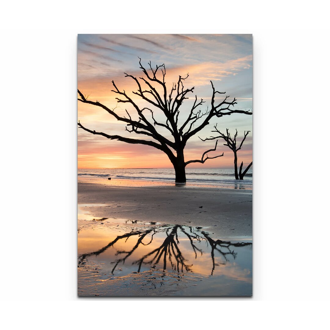 Leinwandbild Kahle Bäume am Strand