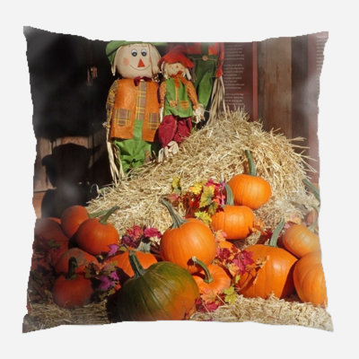  Coussin décoratif intérieur / extérieur Autumn