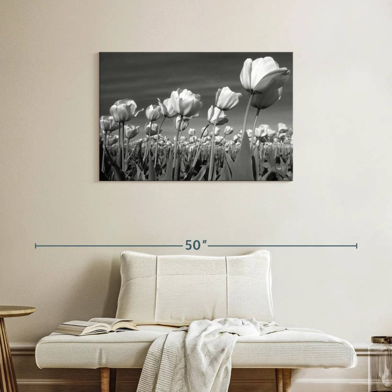 Champ de tulipes Harnek, H 24 po x l 36 po